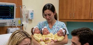 While I signed the emergency C-section consent forms by myself to save our unborn triplets, my husband had switched off his phone so he could celebrate with his first love and…