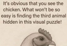 Find the Third Animal Hidden in This Visual Puzzle!