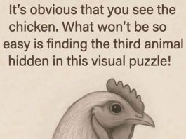 Find the Third Animal Hidden in This Visual Puzzle!