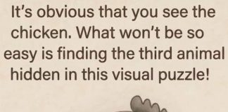 Find the Third Animal Hidden in This Visual Puzzle!