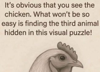 Find the Third Animal Hidden in This Visual Puzzle!