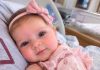 My twin brother had begged me to carry the baby he and …