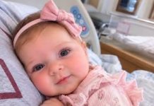 My twin brother had begged me to carry the baby he and …