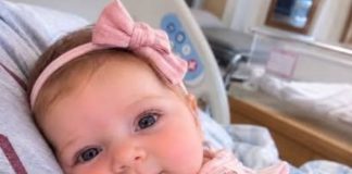 My twin brother had begged me to carry the baby he and …