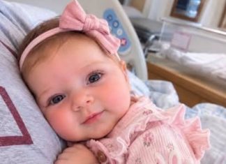 My twin brother had begged me to carry the baby he and …