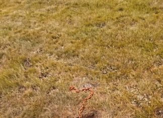 I Found a Rusted Chain Buried Under My Mailbox — Here’s What It Was For