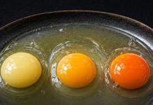 Which Egg Comes From a Healthy Chicken? The Truth Behind Yolk Colors
