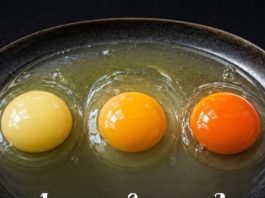Which Egg Comes From a Healthy Chicken? The Truth Behind Yolk Colors