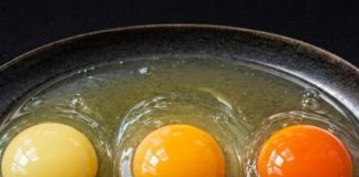 Which Egg Comes From a Healthy Chicken? The Truth Behind Yolk Colors