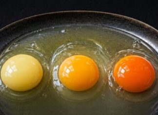Which Egg Comes From a Healthy Chicken? The Truth Behind Yolk Colors