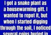 Does Burying Pennies in Snake Plant Soil Actually Work?
