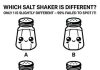 Which Salt Shaker Is Different?