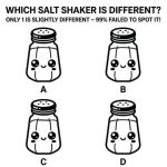 Which Salt Shaker Is Different?