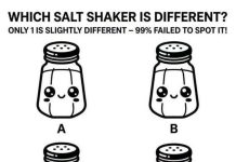 Which Salt Shaker Is Different?
