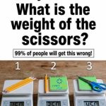 What is the weight of the scissors?