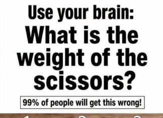 What is the weight of the scissors?