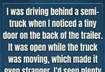 The Real Reason Truck Trailers Have That Small Door On The Back