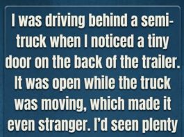 The Real Reason Truck Trailers Have That Small Door On The Back