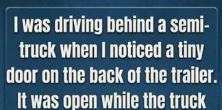 The Real Reason Truck Trailers Have That Small Door On The Back