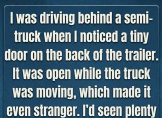 The Real Reason Truck Trailers Have That Small Door On The Back