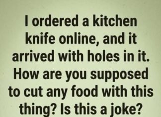 Why Does This Kitchen Knife Have Holes and a Forked Tip?