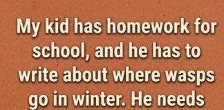 Where Do Wasps Go in the Winter?