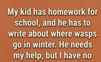 Where Do Wasps Go in the Winter?