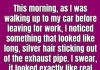 Why Is Silver Hair Coming Out of Your Car’s Exhaust Pipe?