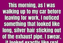 Why Is Silver Hair Coming Out of Your Car’s Exhaust Pipe?