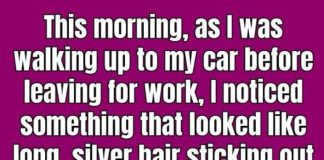 Why Is Silver Hair Coming Out of Your Car’s Exhaust Pipe?