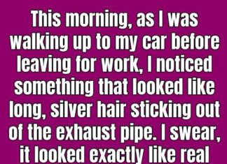 Why Is Silver Hair Coming Out of Your Car’s Exhaust Pipe?