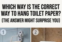 Which Way Is the Correct Way to Hang Toilet Paper? (The Answer Might Surprise You)