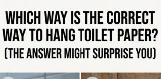 Which Way Is the Correct Way to Hang Toilet Paper? (The Answer Might Surprise You)