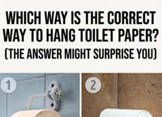 Which Way Is the Correct Way to Hang Toilet Paper? (The Answer Might Surprise You)