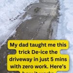 How To Safely De-Ice Your Walkways This Winter