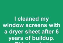 I cleaned my window screens with a dryer sheet after 6 years of buildup. This is what happened