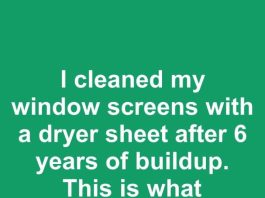 I cleaned my window screens with a dryer sheet after 6 years of buildup. This is what happened