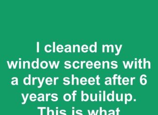 I cleaned my window screens with a dryer sheet after 6 years of buildup. This is what happened