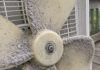 My grandmother taught me this trick to clean yellowed plastic fan blades before the heat wave hits with 0 effort. Here’s how it works