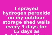 I sprayed hydrogen peroxide on my outdoor storage shed walls every 3 days for 15 days as October moisture from falling leaves accumulated. This is what happened