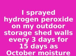 I sprayed hydrogen peroxide on my outdoor storage shed walls every 3 days for 15 days as October moisture from falling leaves accumulated. This is what happened