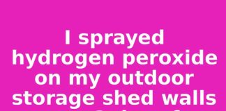 I sprayed hydrogen peroxide on my outdoor storage shed walls every 3 days for 15 days as October moisture from falling leaves accumulated. This is what happened