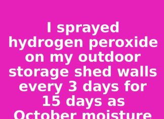I sprayed hydrogen peroxide on my outdoor storage shed walls every 3 days for 15 days as October moisture from falling leaves accumulated. This is what happened