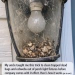 My uncle taught me this trick to clean trapped dead bugs and cobwebs out of porch light fixtures before company comes with 0 effort. Here’s how it works