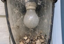 My uncle taught me this trick to clean trapped dead bugs and cobwebs out of porch light fixtures before company comes with 0 effort. Here’s how it works