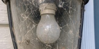 My uncle taught me this trick to clean trapped dead bugs and cobwebs out of porch light fixtures before company comes with 0 effort. Here’s how it works