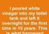 I poured white vinegar into my toilet tank and left it overnight for the first time in 15 years. This is what happened