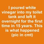 I poured white vinegar into my toilet tank and left it overnight for the first time in 15 years. This is what happened
