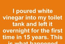 I poured white vinegar into my toilet tank and left it overnight for the first time in 15 years. This is what happened