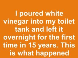 I poured white vinegar into my toilet tank and left it overnight for the first time in 15 years. This is what happened